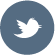Twitter icon